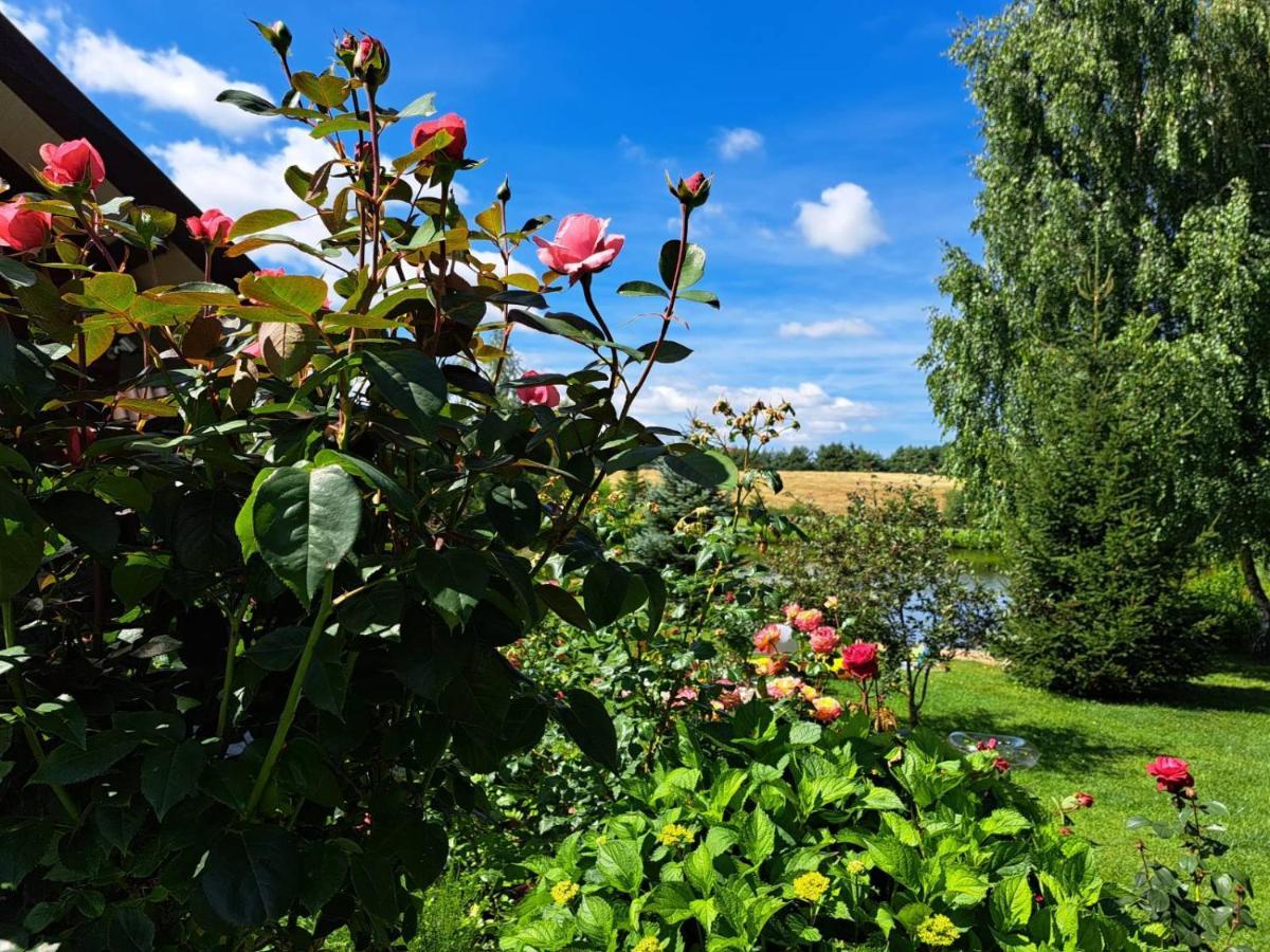 Wczasy Mazurskie - Domek Caloroczny Bez Mazury Moldzie Buitenkant foto